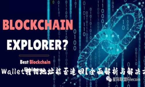 TP Wallet转错地址能否追回？全面解析与解决方案